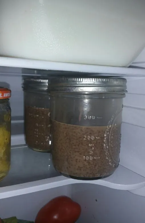 Schokoladen-Chia-Samen-Pudding