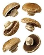 Mit Krabben gefüllte Portabella-Pilze