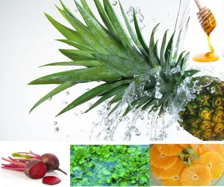 Saft aus Ananas, Orange und Rote Bete zur Bekämpfung von Anämie