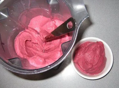 Vita-Mix Erdbeereis: Low Carb Traum!