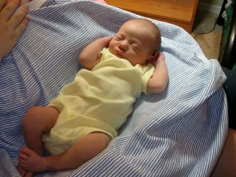 Cremige Affenfüße (Bananen-Ambrosia)