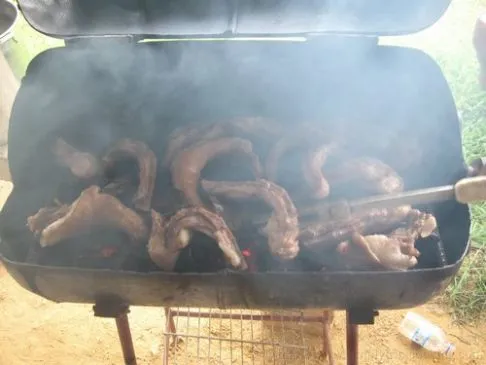 Menonitische geröstete Schweineschwänze