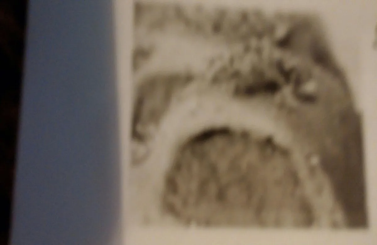 Italienisches Steak gefülltes Knoblauchbrot