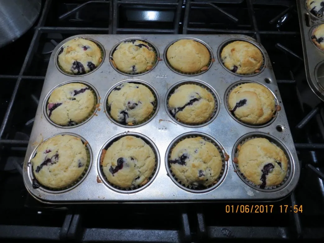 Omas Blaubeermuffins
