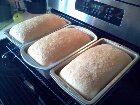 Hausgemachtes Weizenbrot