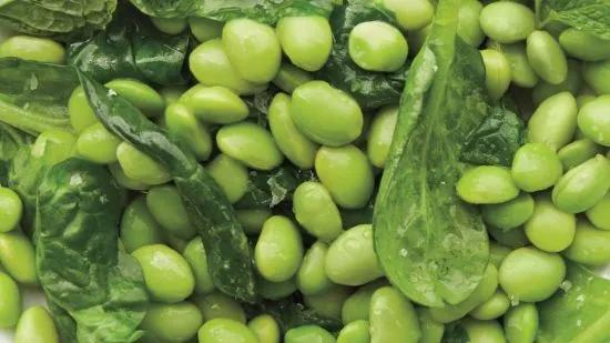 MCG Green Goddess Burger