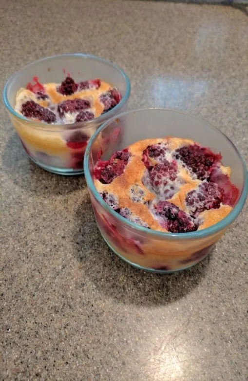 Brombeer-Puddingkuchen