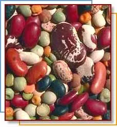 Würzige Gemüsesuppe