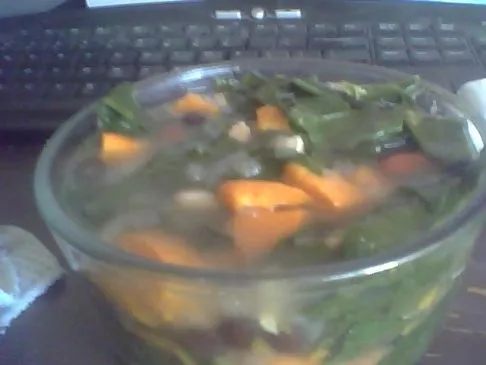 Turbo-Antioxidantien-Gewichtsverlust-Suppe