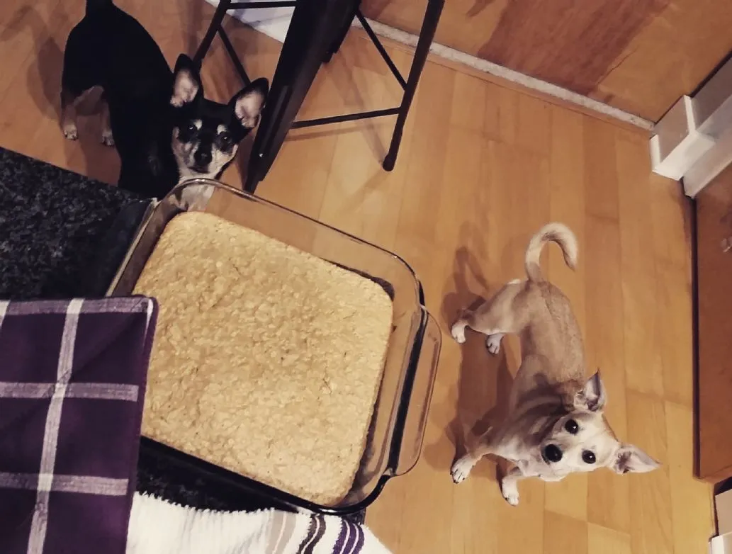 Leichte Erdnussbutter-Haferflocken-Riegel (glutenfrei)