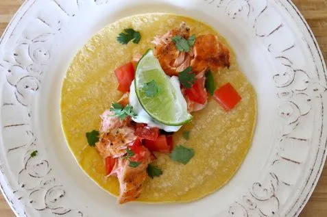 Krosse Lachs-Tacos
