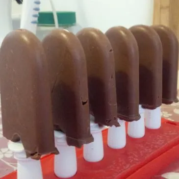 Hausgemachte Fudgesicles