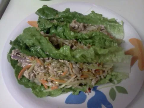 Leichte Chili Putenhackfleisch-Lettuce Wraps