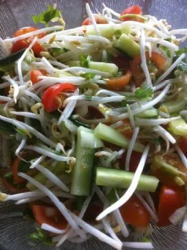Asiatischer Gurkensalat