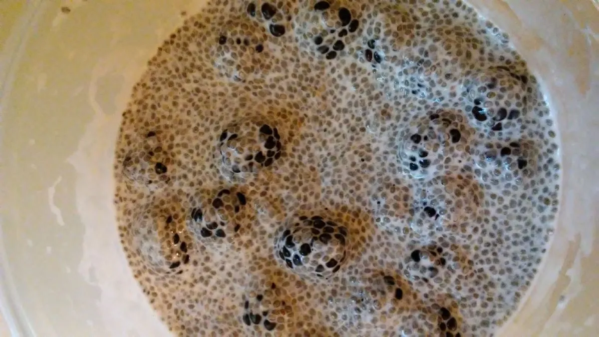 Brombeer-Chia-Pudding