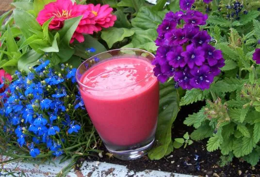 Himbeer-Cordial-Smoothie