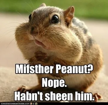 Frittierte Erdnussbutter-Gelee