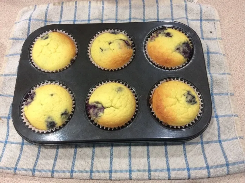 Low Carb Blaubeer-Muffins