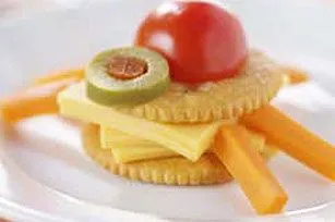 Turtle Cracker Critter