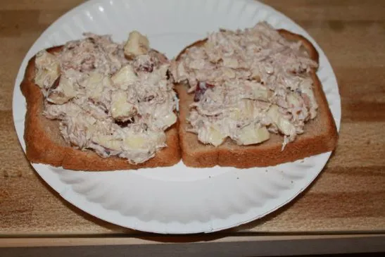 Thunfisch und Apfel mit Leinsamen