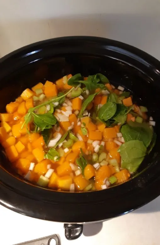 Linsen- und Kürbissuppe