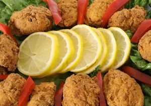 Alligator - Gator Bites