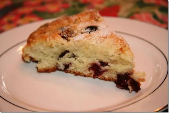 FANNETASTIC FOODs Cranberry-Joghurt-Scones