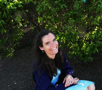 Pfannengericht-Zusammenstellung