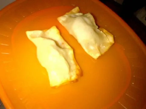 Ingwer-Hühnchen-Wontons