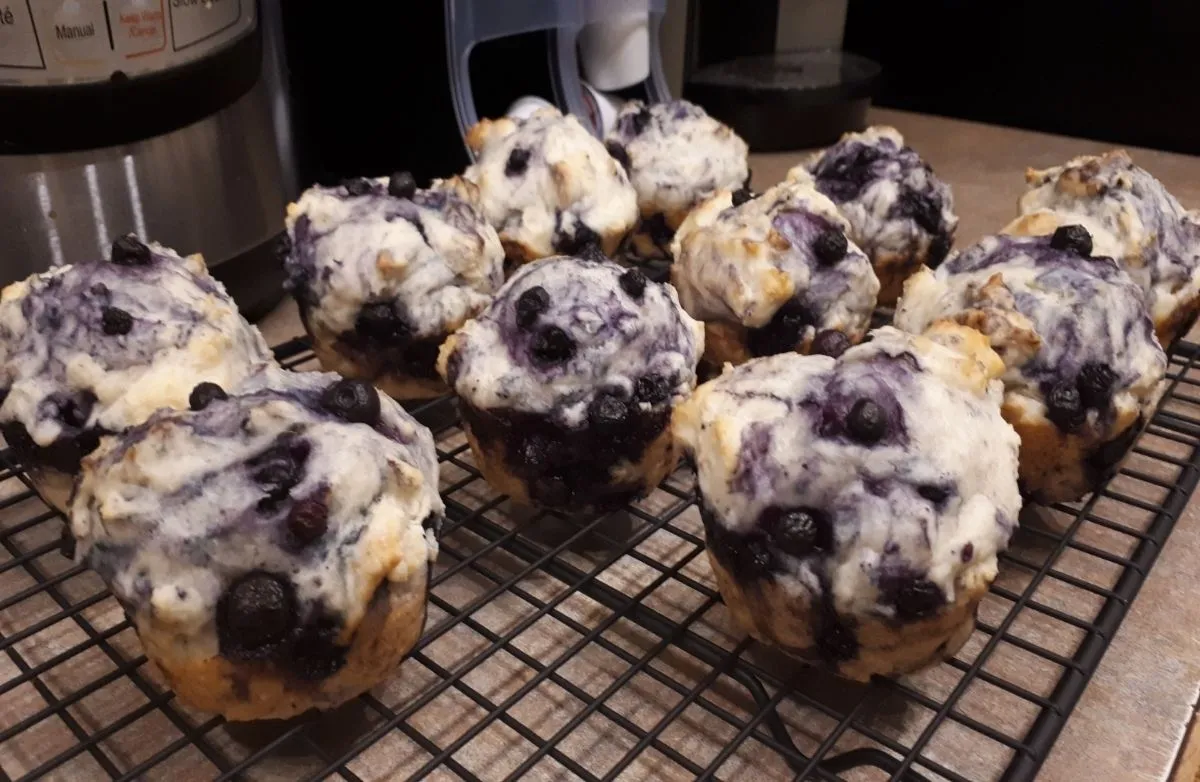 Blaubeer-Joghurt-Muffins