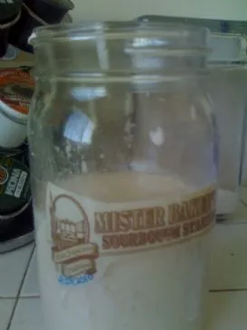 Vollkorn-Sauerteig-Starter