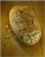 Kein-Knet-Vollkornbrot