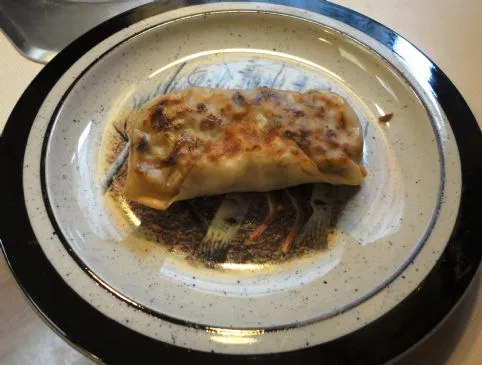 Knusprige gebackene Frühlingsrollen