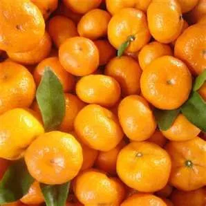 Mandarinen-Frost-Popper