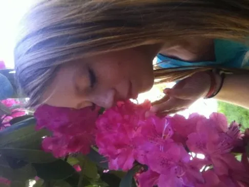 Garnelen- und Gemüseomelette für 1