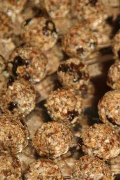 Zimt-Rosinen-Laktationsbällchen