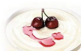 Griechischer Joghurt 100 % Selbstgemacht