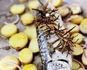 Makrele im Folienpaket gebacken