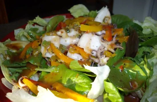 Regenbogen-Tintenfisch