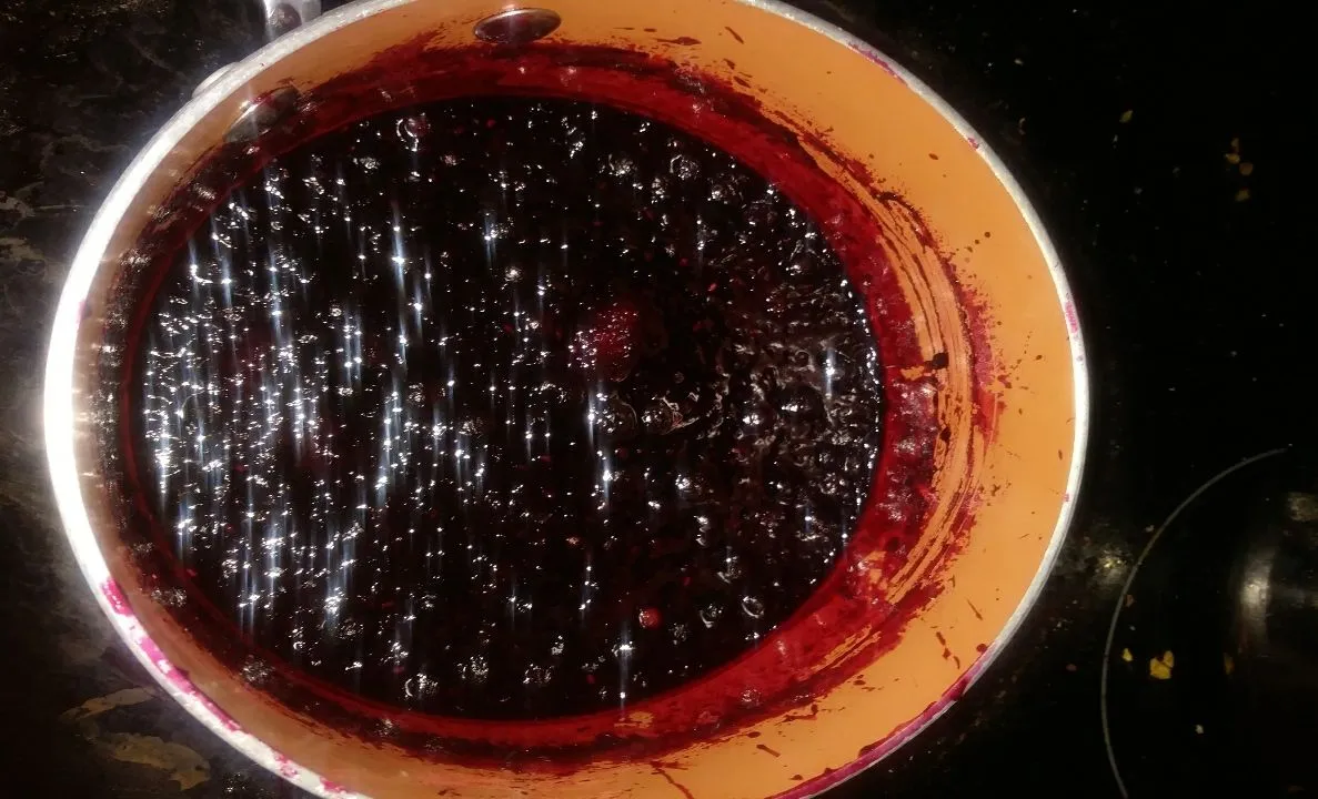 Beerenkompott mit Grapefruit