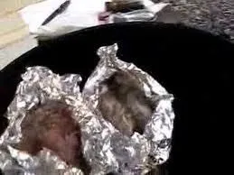 E-Z Lagerfeuer-Lachs