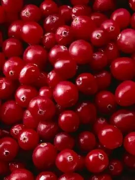 Kernlose, glatte Cranberry-Sauce (1 EL)