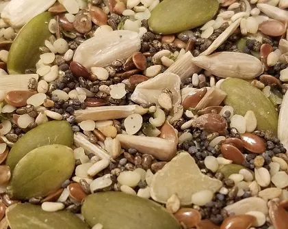 Frühstücks-Samen-Mischung