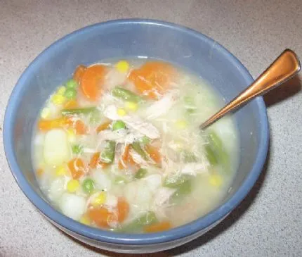 Hausgemachte Familien-Hühnchen-Gemüsesuppe