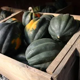 Wintergemüse aus dem Ofen