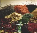 Currylinsen mit italienischer Wurst