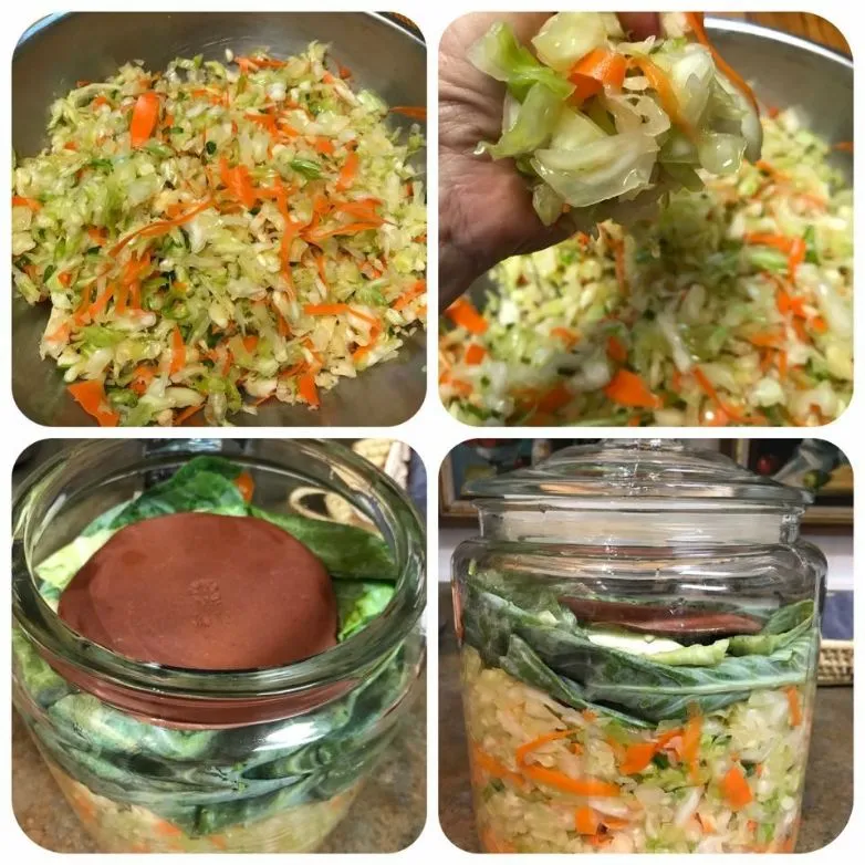 Hausgemachtes Sauerkraut