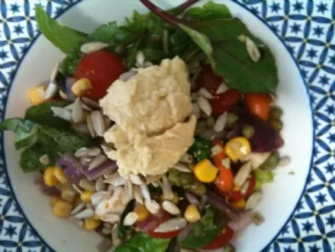 Hummus und mediterraner Salat