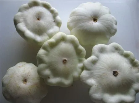 Kürbis-Pattipan-Auflauf