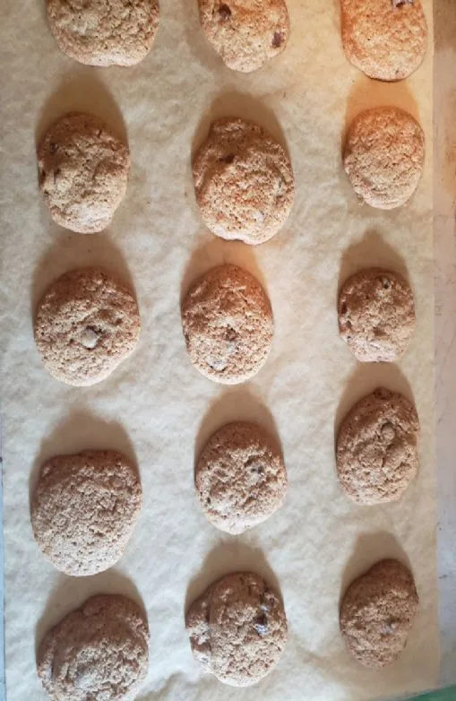 Vollkorn-Schokoladenkekse